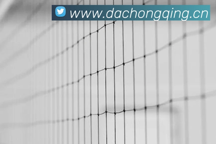 人人体育直播APP 封面图